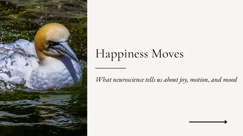 The Science Behind Happiness in Motion