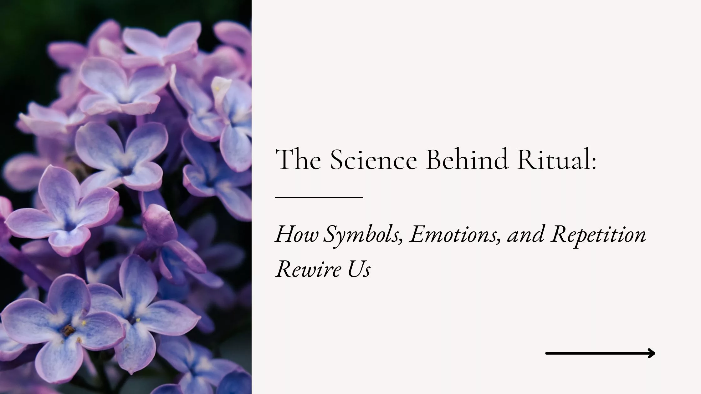 The Science Behind Ritual: How Symbols, Emotions, and Repetition Rewire Us